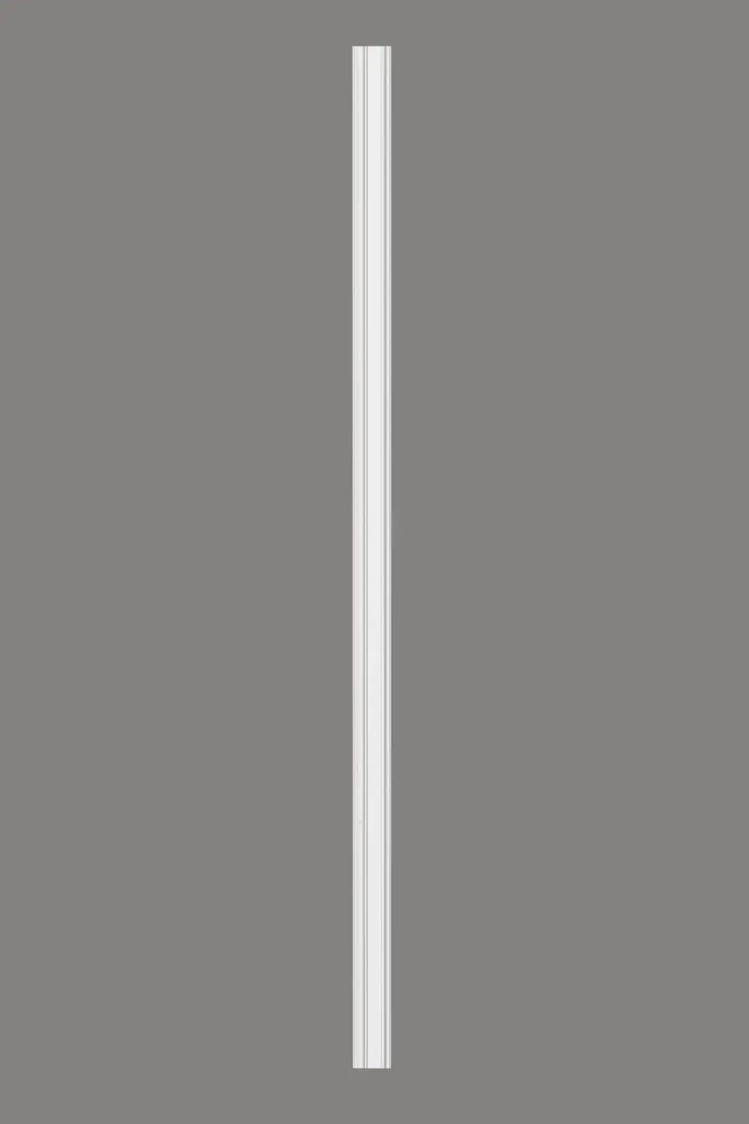 Pilaster D1511