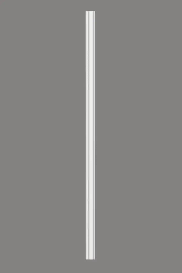 Pilaster D1511