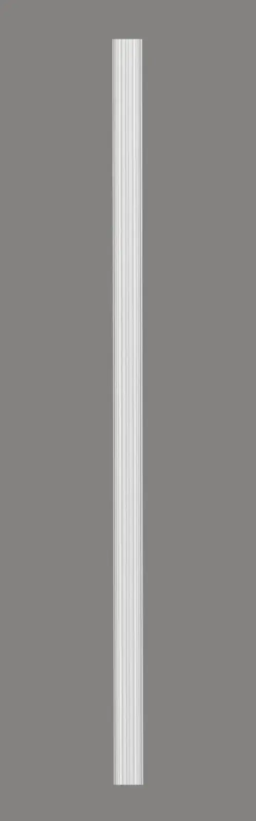 Pilaster D1541