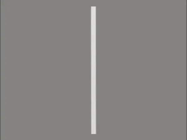 Pilaster D1541